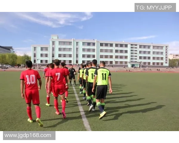 中国足球明星告别赛场的背影与荣耀回顾，铭记他们的奋斗与奉献